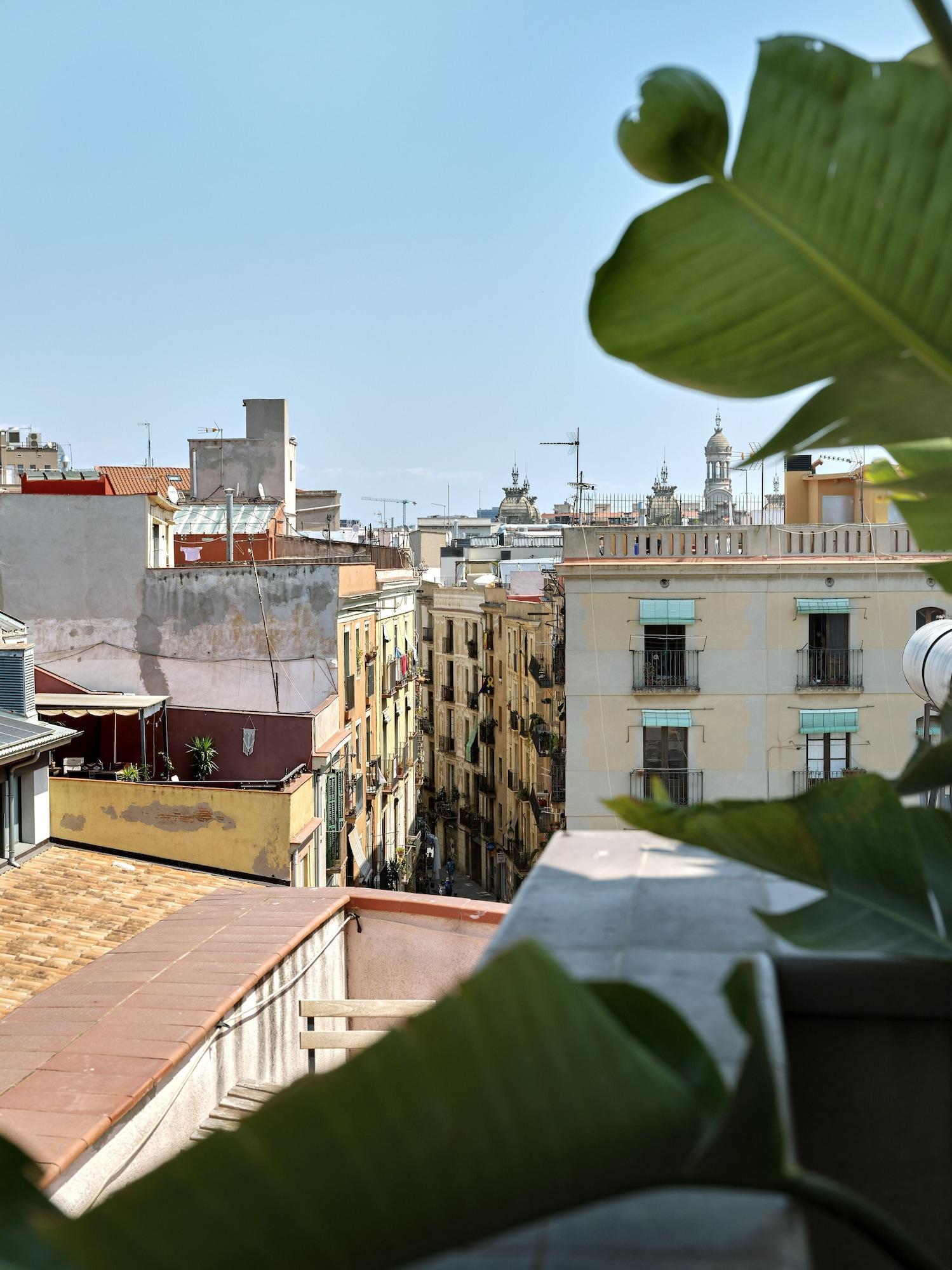 فندق برشلونةفي  فندق موسيك البوتيكي المظهر الخارجي الصورة